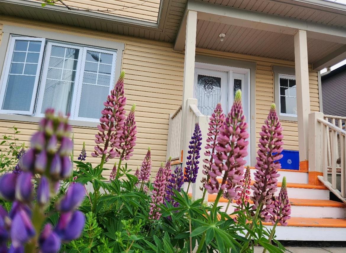 Maison Chaleureuse, Energetique Et Florale Sherbrooke Luaran gambar